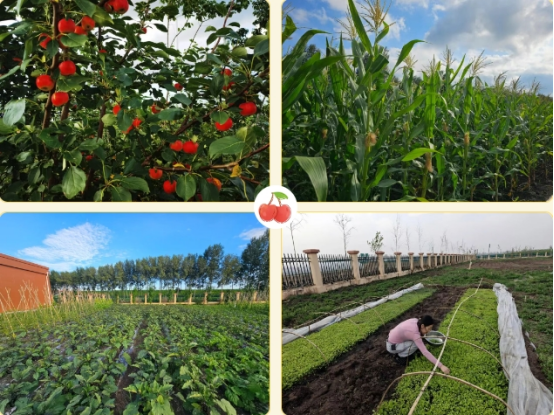 151757925970874972.png image.png